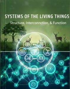 System B cover